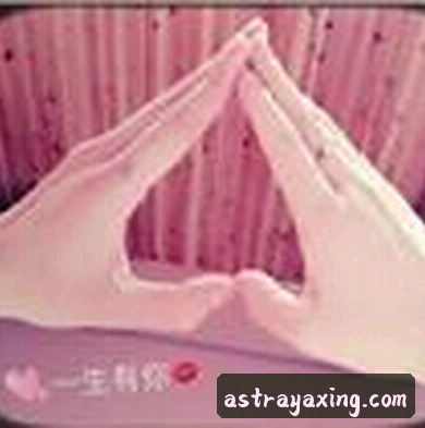 深夜盯盘选手 老猫